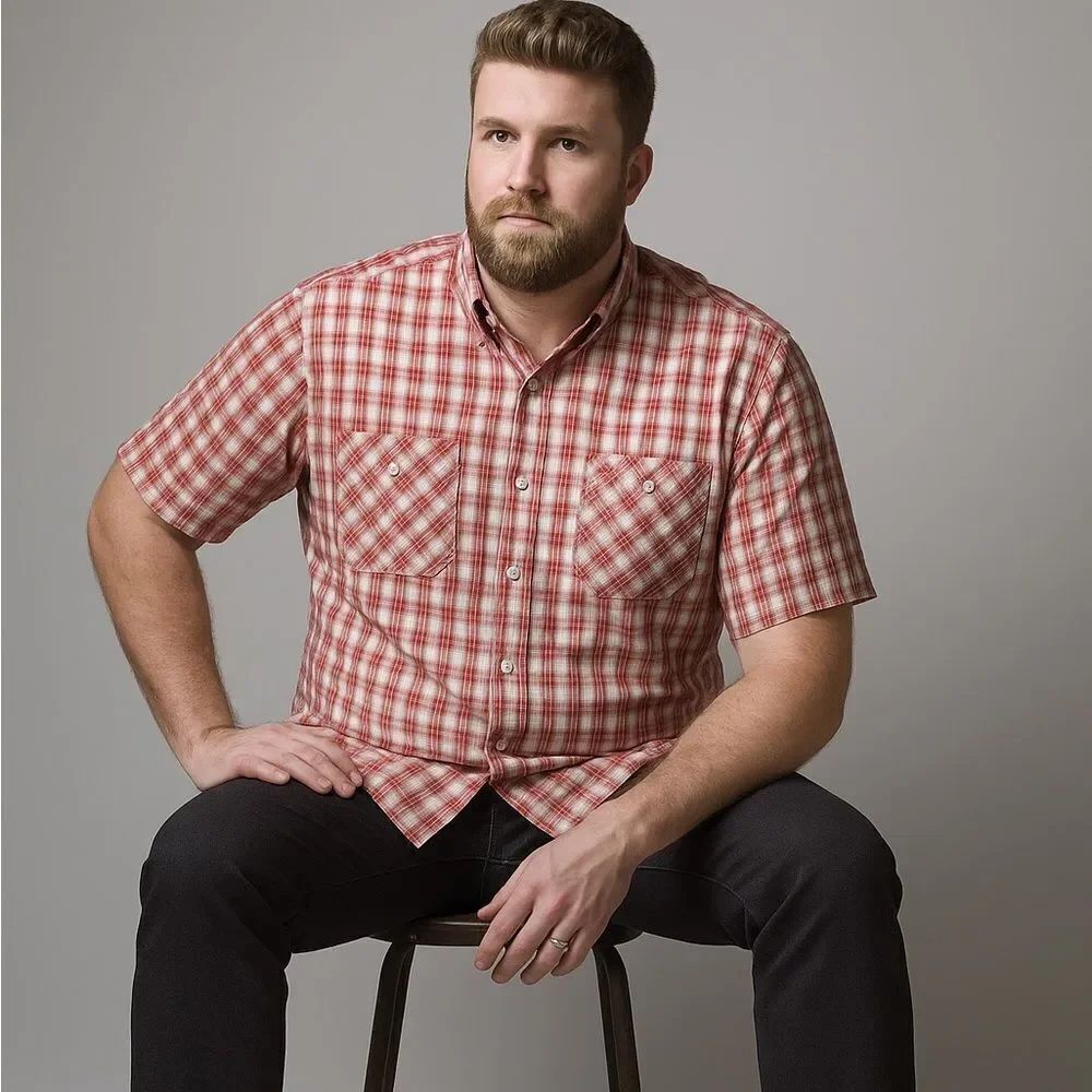paper denim and cloth Men’s Check Button Up Shirt Size 4X